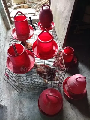 মুরগির খাচাসহ খাবার ও পানির পাত্র বিক্রি