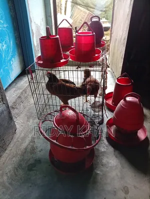 মুরগির খাচাসহ খাবার ও পানির পাত্র বিক্রি