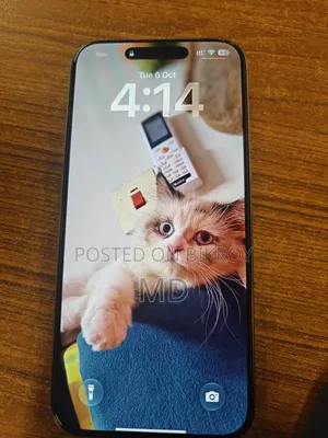 Apple iPhone 16 Pro Max 256 GB Gold