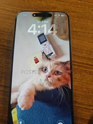Apple iPhone 16 Pro Max 256 GB Gold