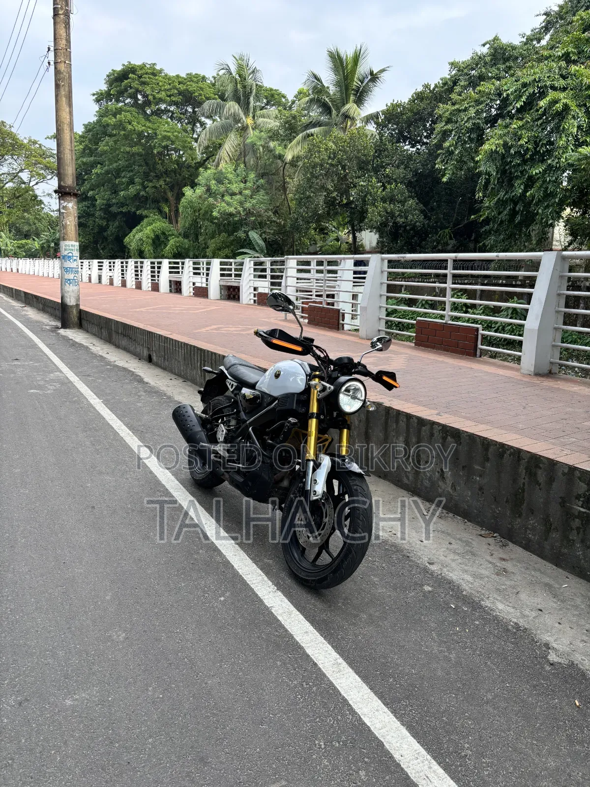 Yamaha XSR700 2021 White
