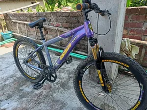 দুরন্ত বাইসাইকেল