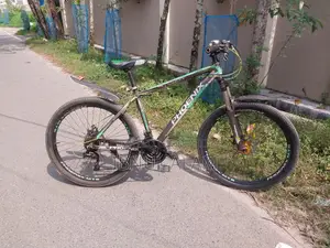 ফিনিক্স টার্গেট বাইসাইকেল