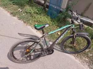 ফিনিক্স টার্গেট বাইসাইকেল