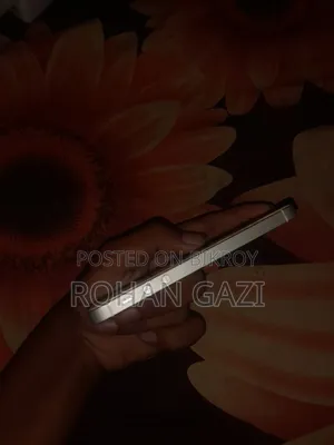 অ্যাপল আইফোন ৫এস ৩২ জিবি