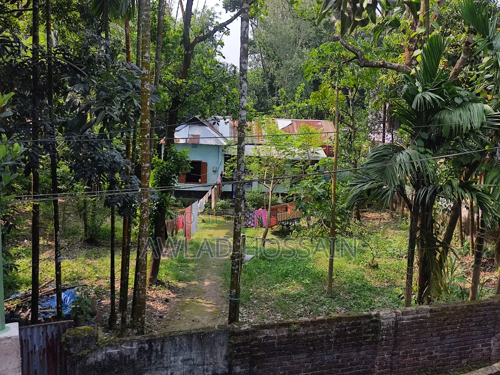 10.25 Decimals Land for Sale in Kamal Kachna, Rangpur