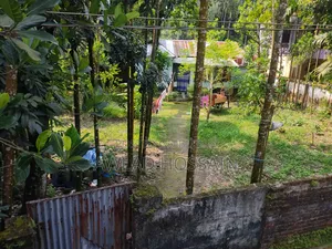 10.25 Decimals Land for Sale in Kamal Kachna, Rangpur