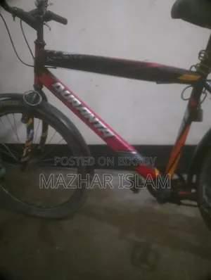 ব্যক্তিগত গতিশীলতা