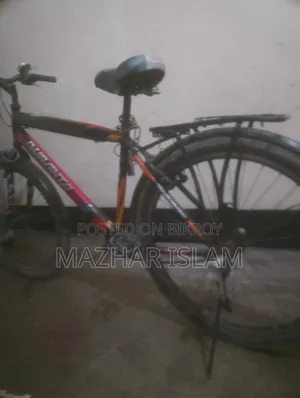 ব্যক্তিগত গতিশীলতা