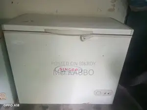 Singer 300 Liter Deep Freezer – For Sale