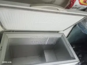 Singer 300 Liter Deep Freezer – For Sale