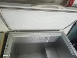 Singer 300 Liter Deep Freezer – For Sale