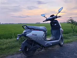 Motorcycle 2026 Silver