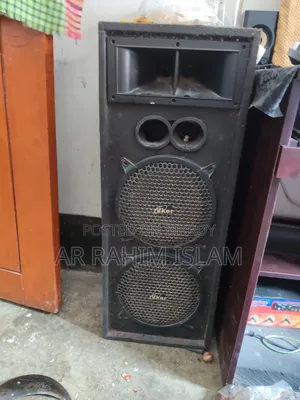 Amplifier With Speaker
