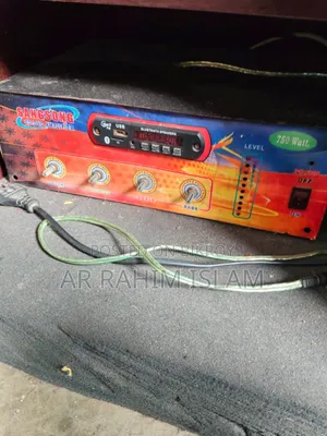 Amplifier With Speaker