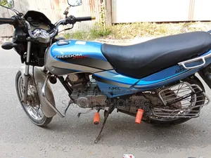Daylong DL125-6 ফ্রিল্যান্ডার ২০১৬ গ্রে