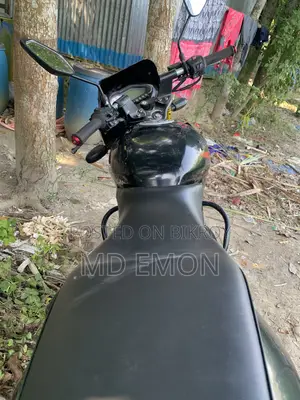 বাজাজ পালসার ১৫০ ২০১৯ লাল