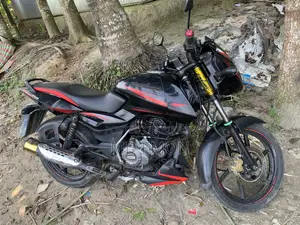 বাজাজ পালসার ১৫০ ২০১৯ লাল