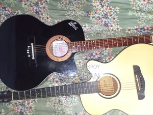 সিগনেচার ২৫৬ মডেল