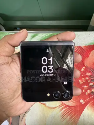 Samsung Galaxy Z Flip5 256 GB Silver
