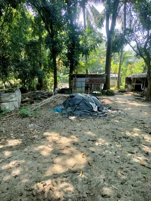 দুই কাঠা জমি বিক্রি
