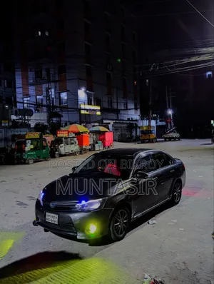 Toyota Axio 2014 Gray