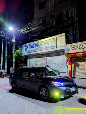 Toyota Axio 2014 Gray