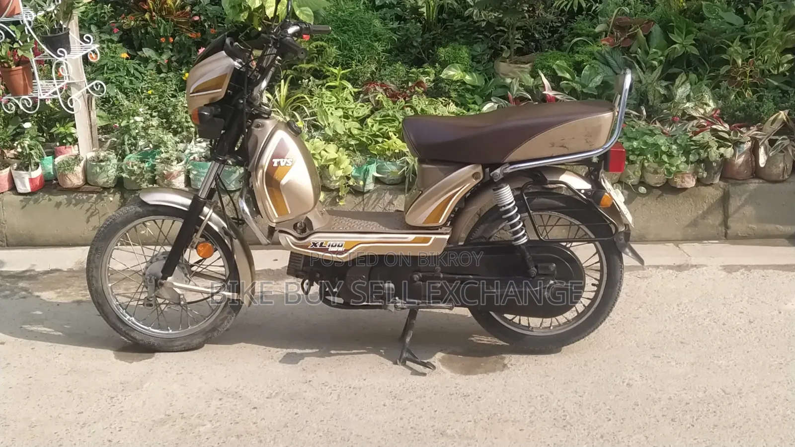 TVS XL 100 Comfort 2022 White