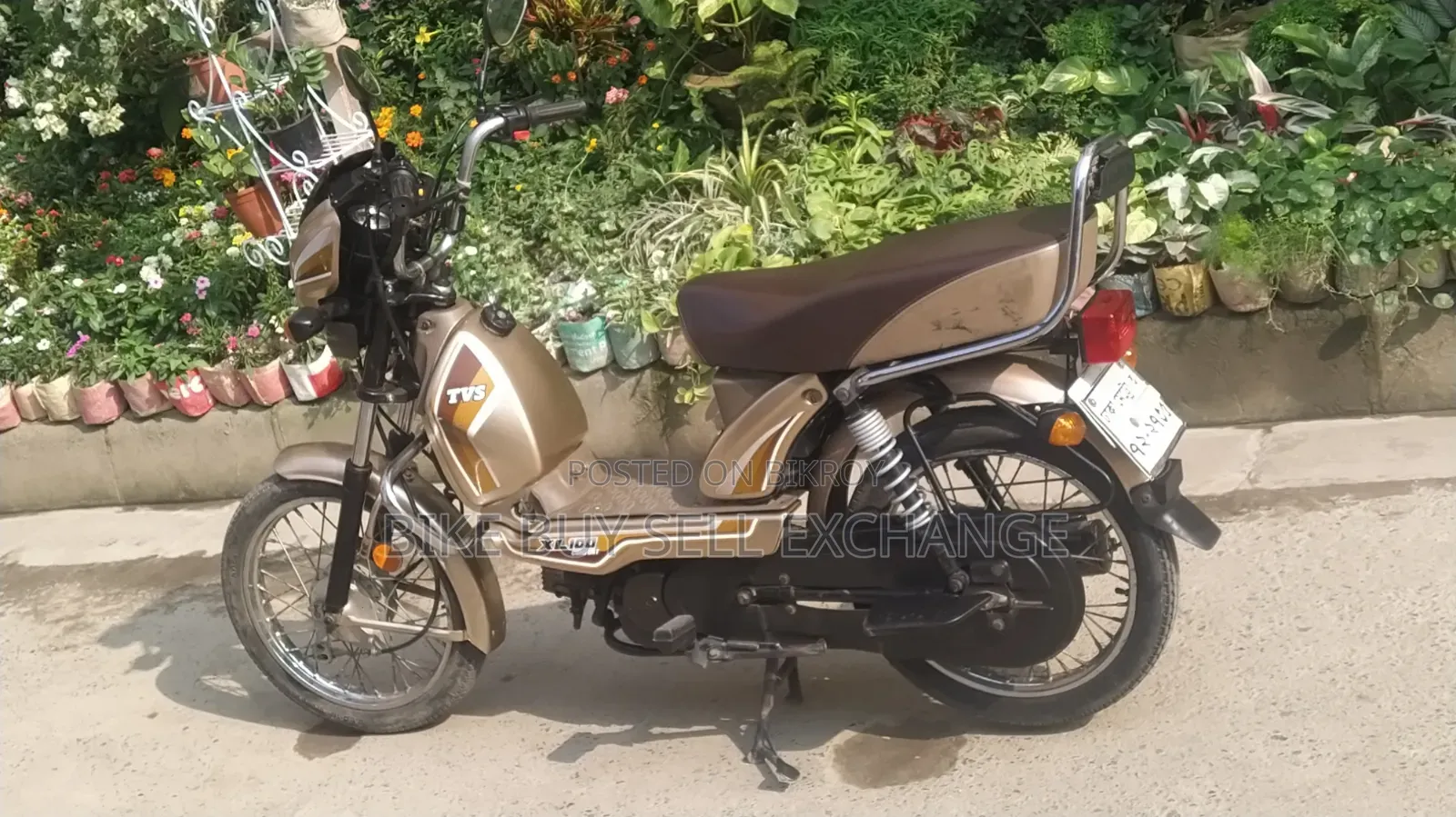 TVS XL 100 Comfort 2022 White