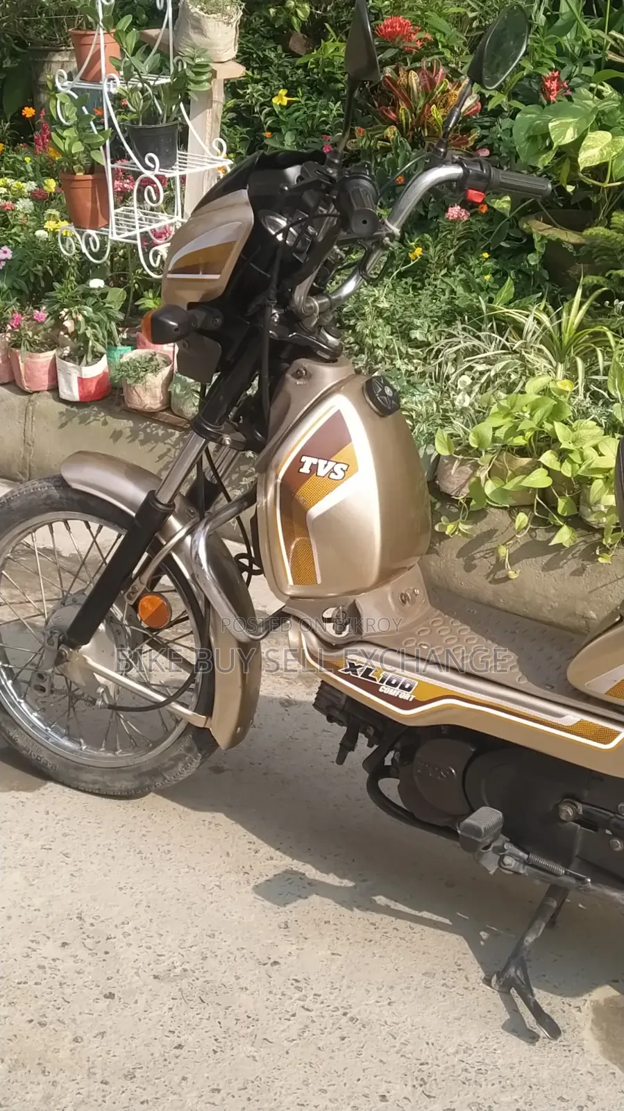 TVS XL 100 Comfort 2022 White