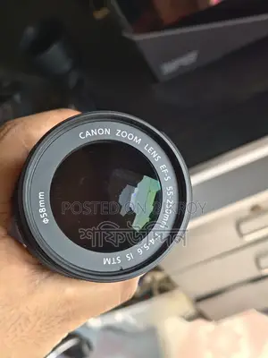 Canon 55-250mm STM Zoom Lens