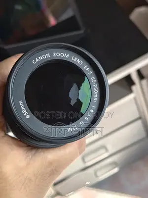 Canon 55-250mm STM Zoom Lens