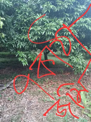 ৭কাঠা চালা জমি