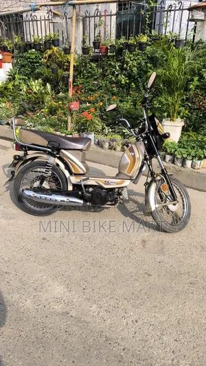 TVS XL 100 Comfort 2022 Gold