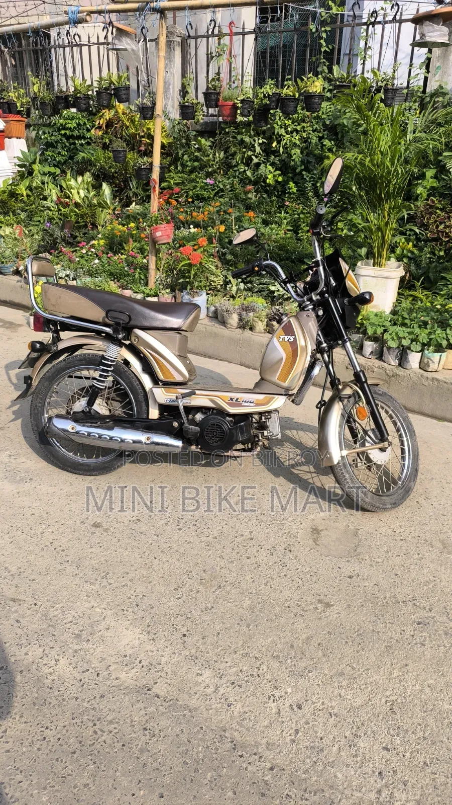 TVS XL 100 Comfort 2022 Gold