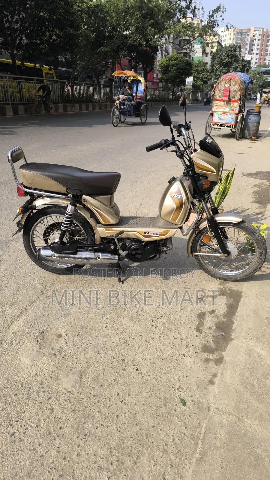 TVS XL 100 Comfort 2022 Gold