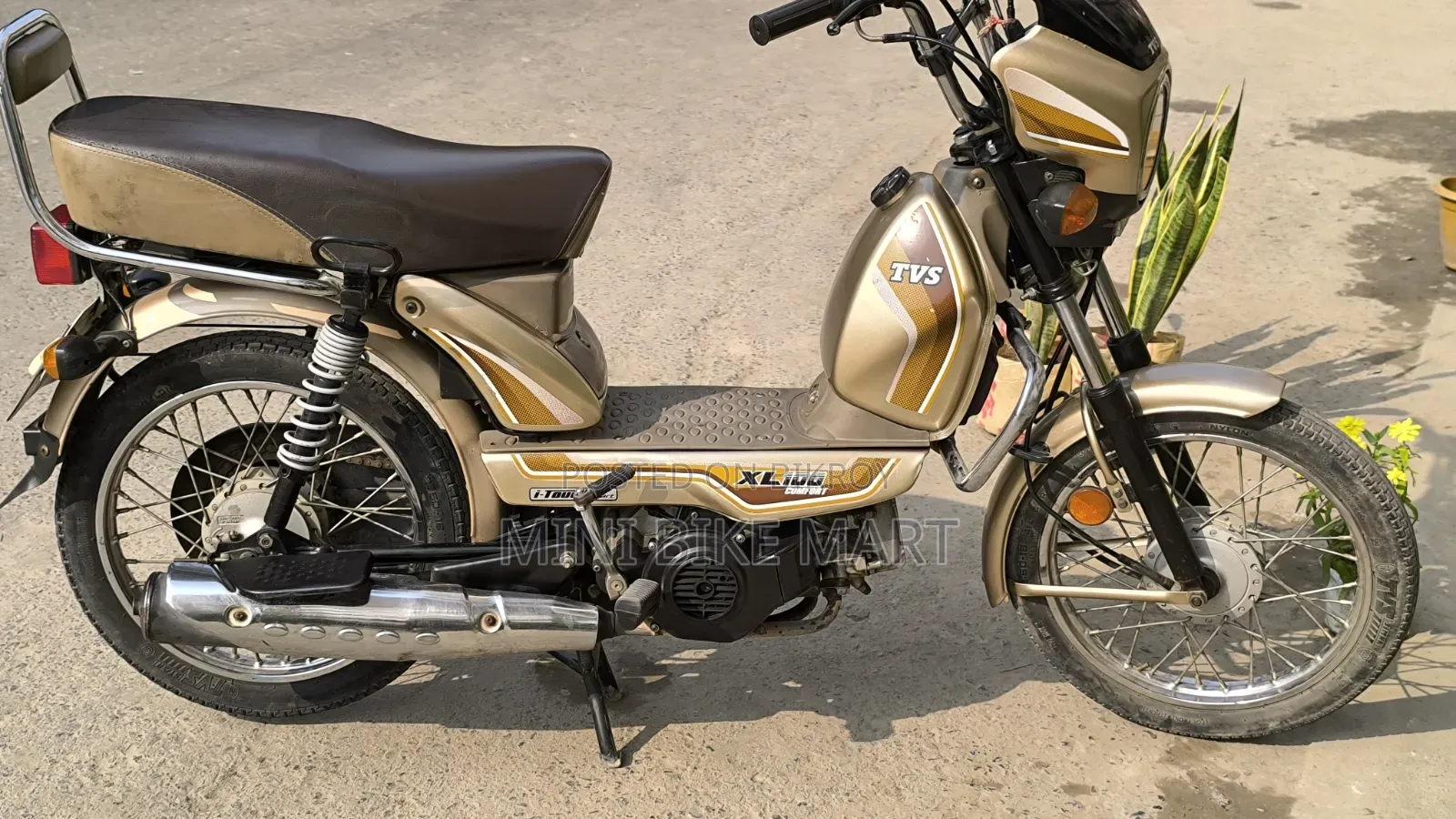 TVS XL 100 Comfort 2022 Gold