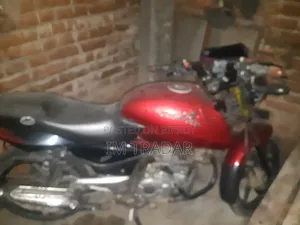 Bajaj Pulsar 150 2008 Red