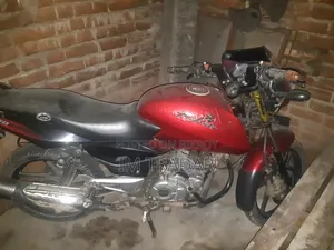 Bajaj Pulsar 150 2008 Red