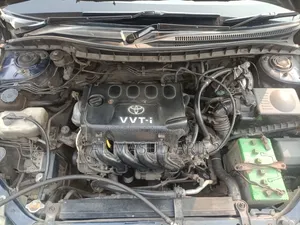 Toyota Premio 2003 Blue