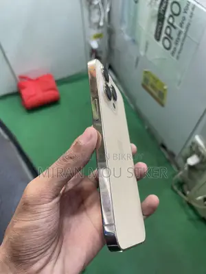 অ্যাপল আইফোন ১৩ প্রো ১২৮ জিবি রোজ গোল্ড