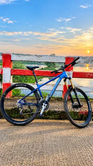 সাইকেলট্রেড এক্সসি৯০০ কাস্টম বিল্ড