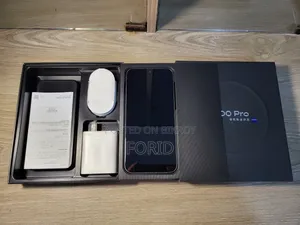 Vivo X300 Pro 256 GB Gray