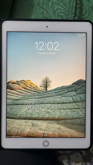 Apple iPad Air 2 16 GB