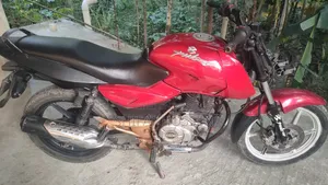 Bajaj Pulsar 150 2024 Red