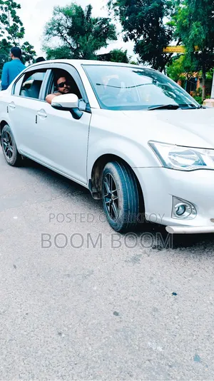 Toyota Axio 2012 Gray