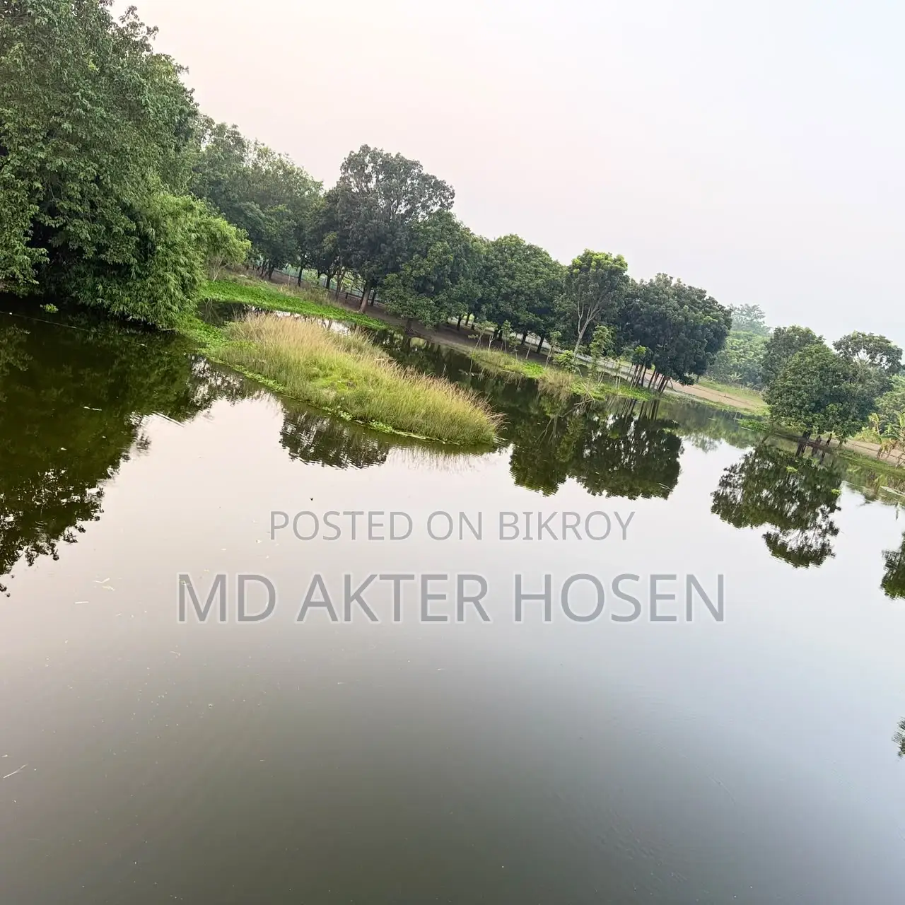 Pond Lease Duration