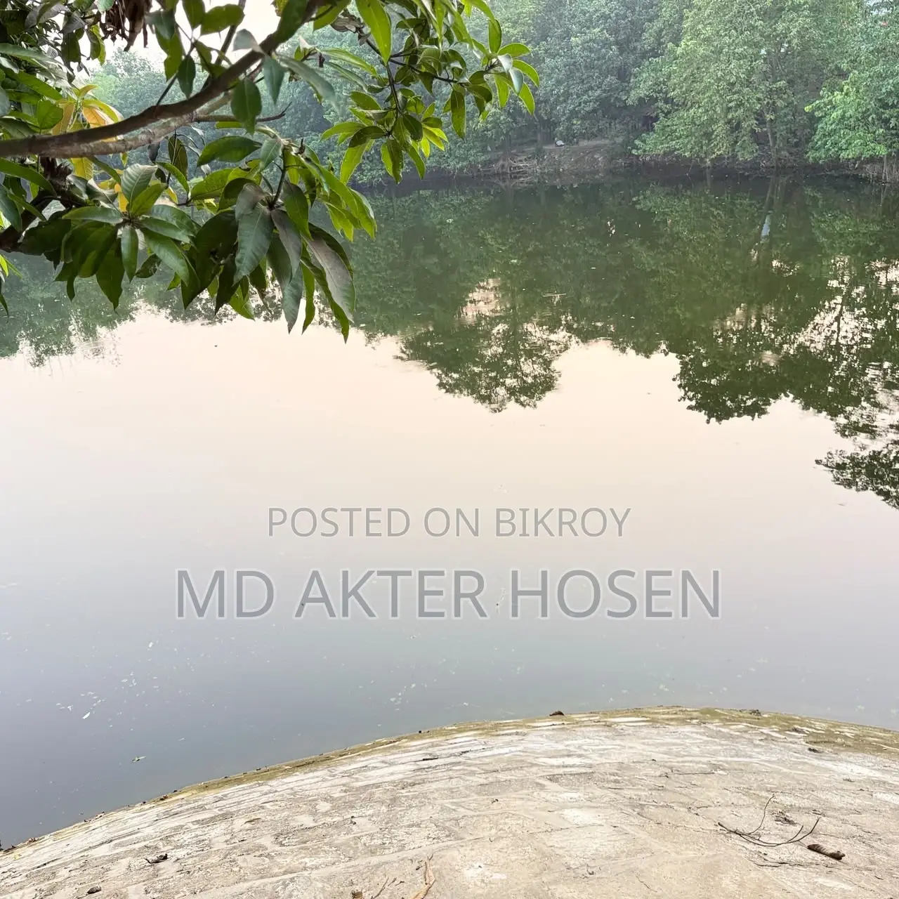 Pond Lease Duration