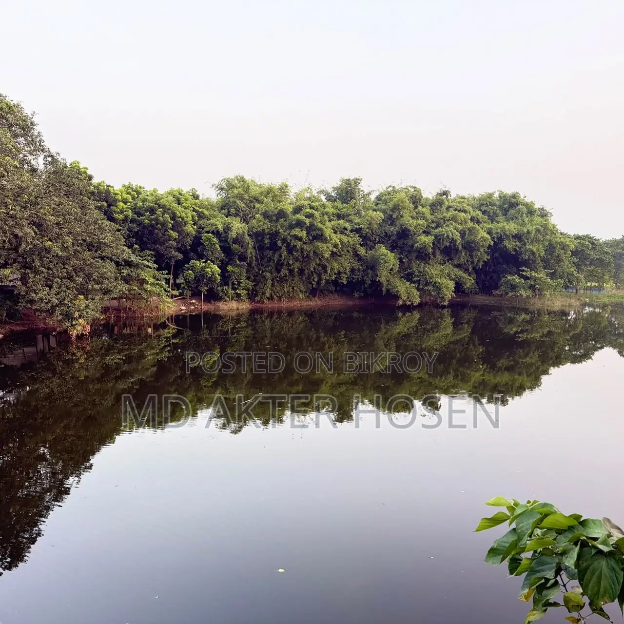 Pond Lease Duration