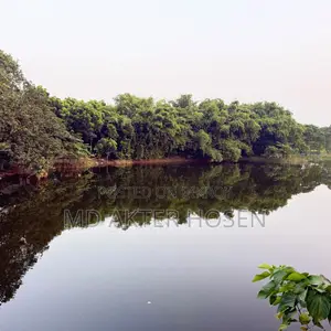 Pond Lease Duration
